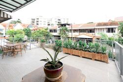 WOLSKEL ROAD (D13), Terrace #481845491